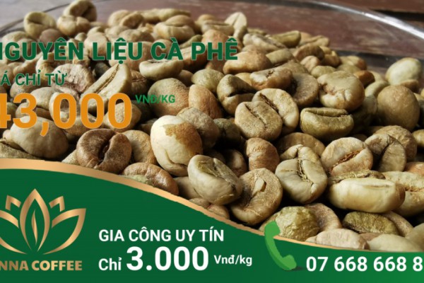 NGUYÊN LIỆU CÀ PHÊ CHỈ TỪ 43.000 Vnđ/kg